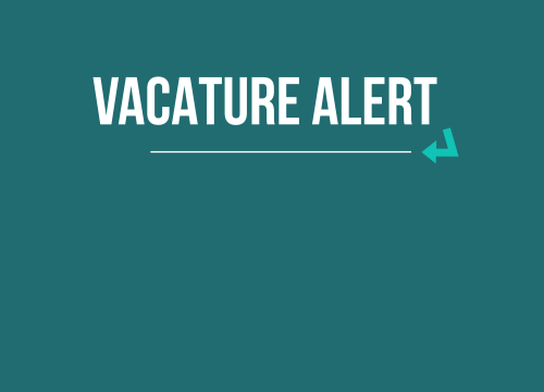 Vacature Sales / Business Developer & Projectmanager